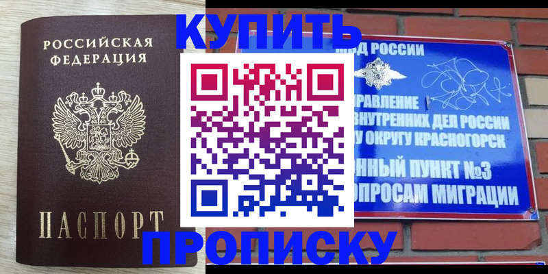 прописка гарантия в Мыски